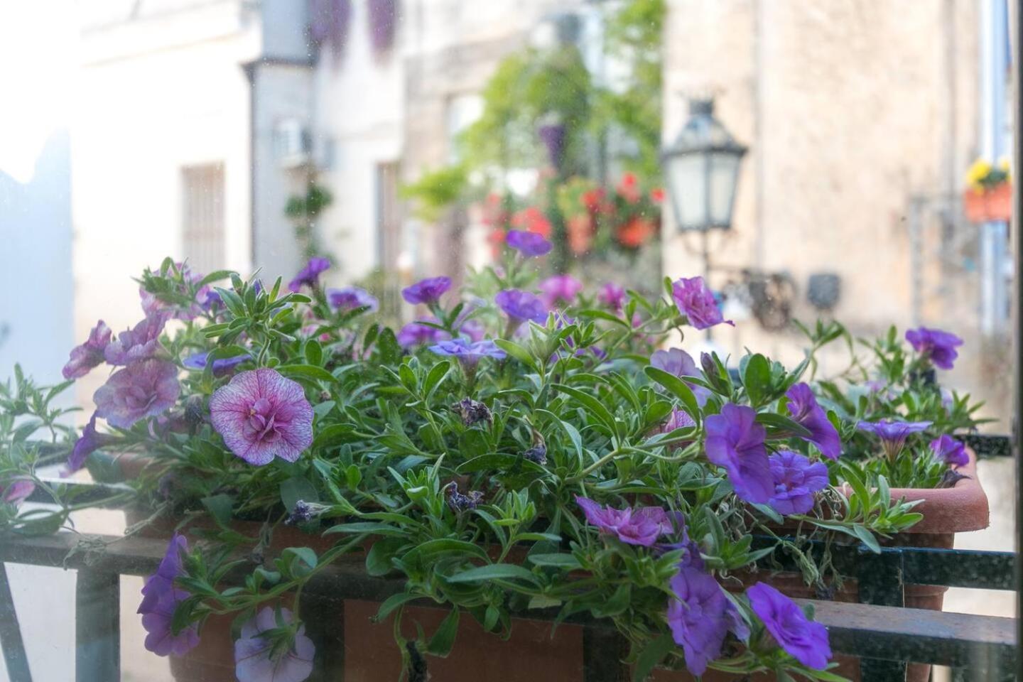 Caminanti Bed and Breakfast Lecce Buitenkant foto